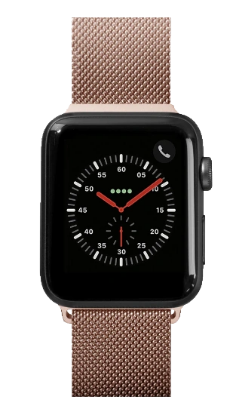 Mynd af Apple Watch Strap - Steel Loop